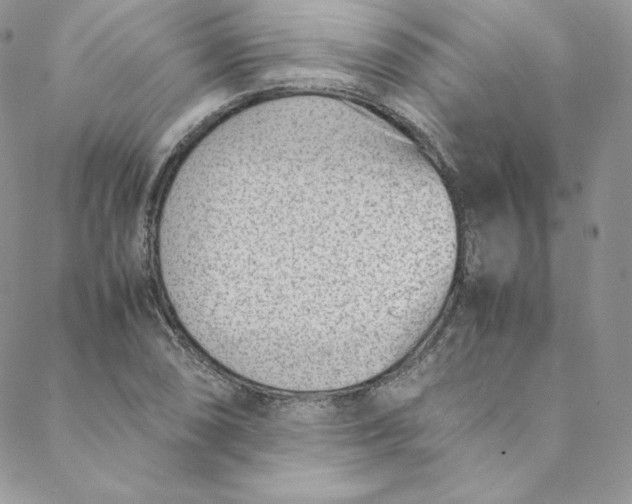 X0000088661074200706081657