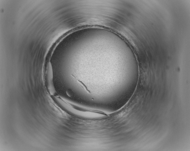 X0000088661076200706081657