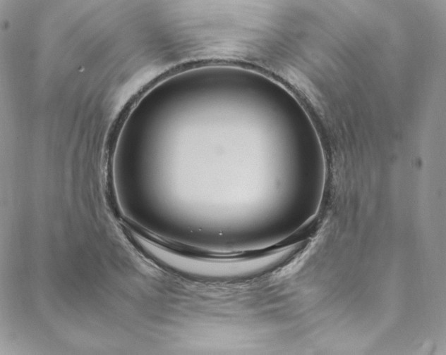 X0000088661077200706081657