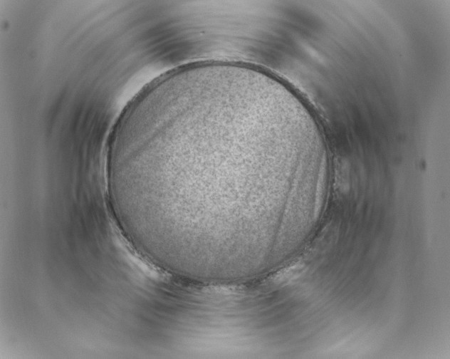 X0000088661078200706081657