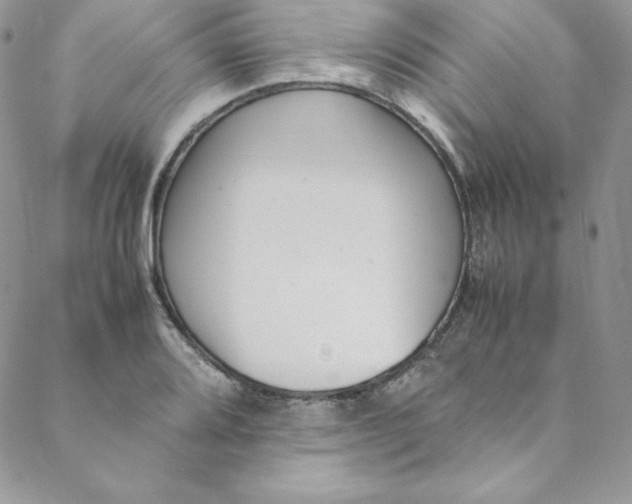 X0000088661080200706081657