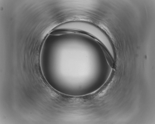 X0000088661081200706081657