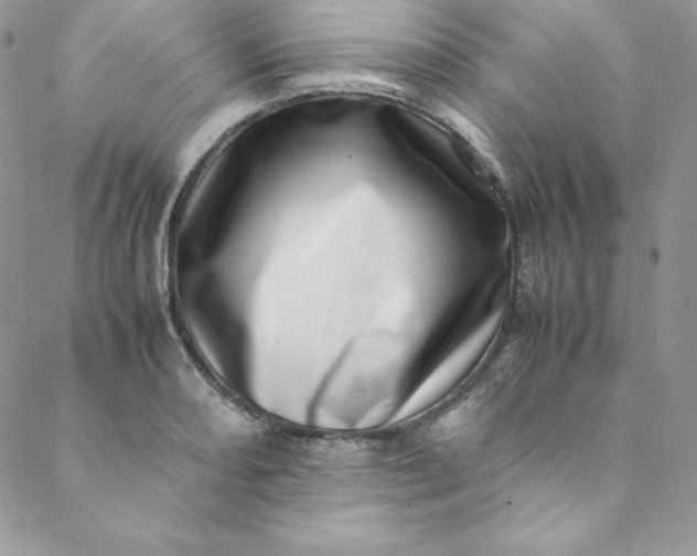 X0000088661082200706081657