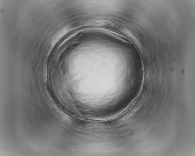 X0000088661083200706081657