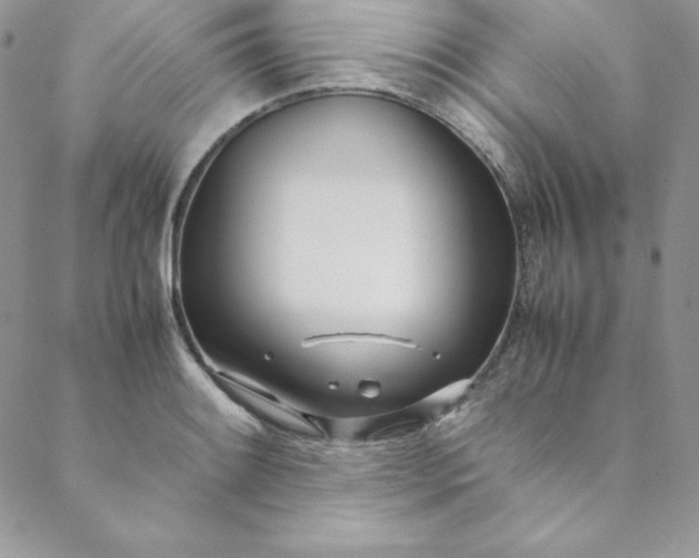 X0000088661084200706081657