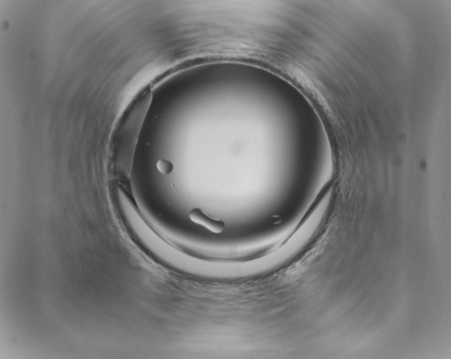 X0000088661085200706081656