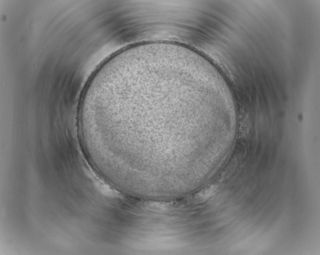 X0000088661086200706081656