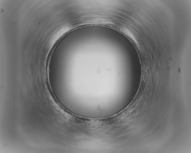 X0000088661087200706081656