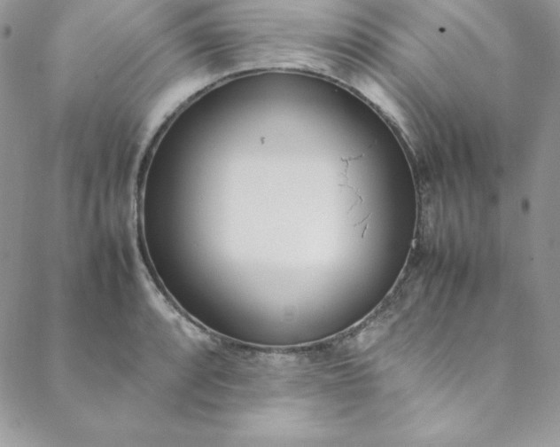 X0000088661088200706081656