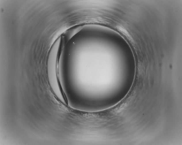 X0000088661089200706081656