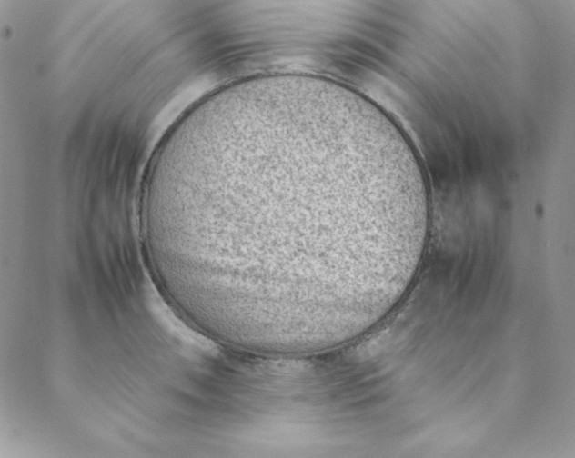 X0000088661090200706081656