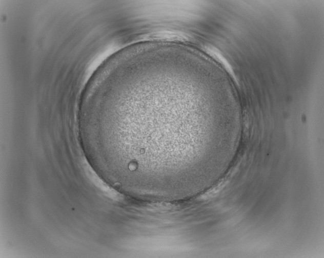 X0000088661091200706081656