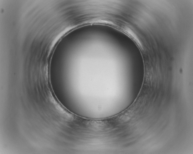 X0000088661092200706081656