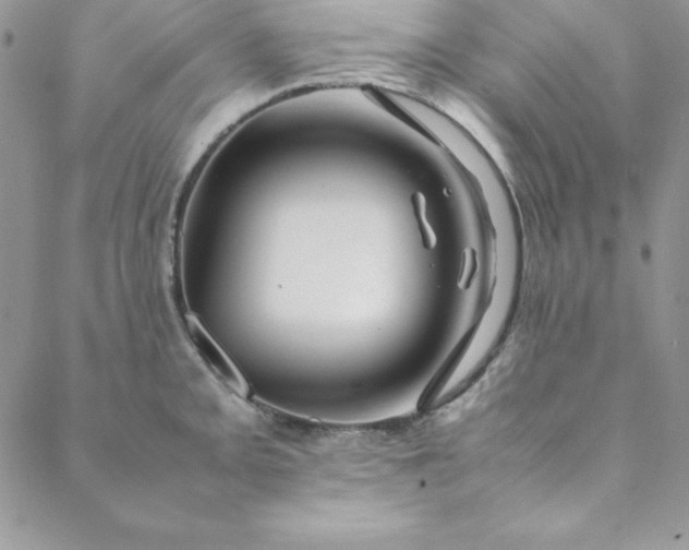 X0000088661093200706081656