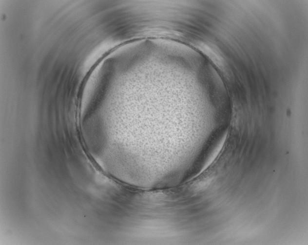 X0000088661094200706081656