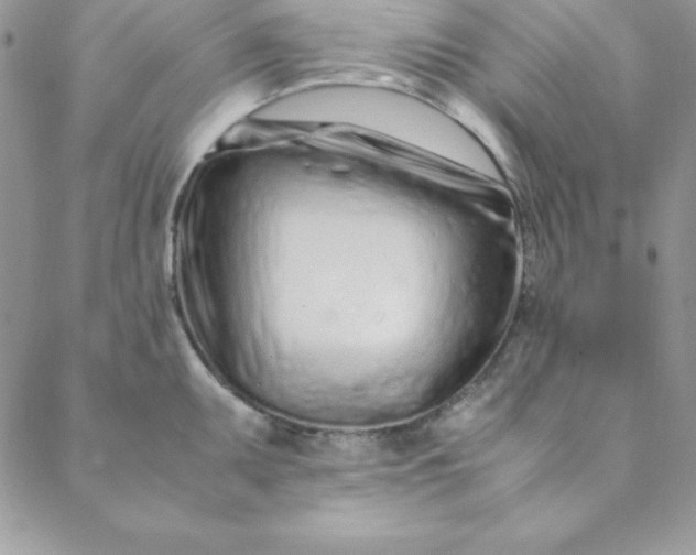 X0000088661095200706081656