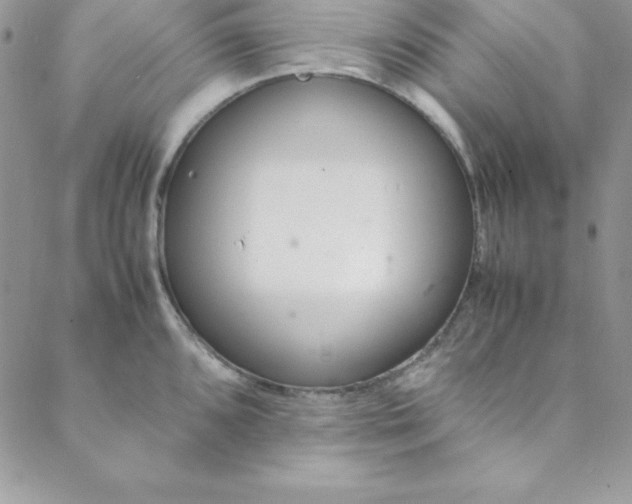 X0000088661096200706081656