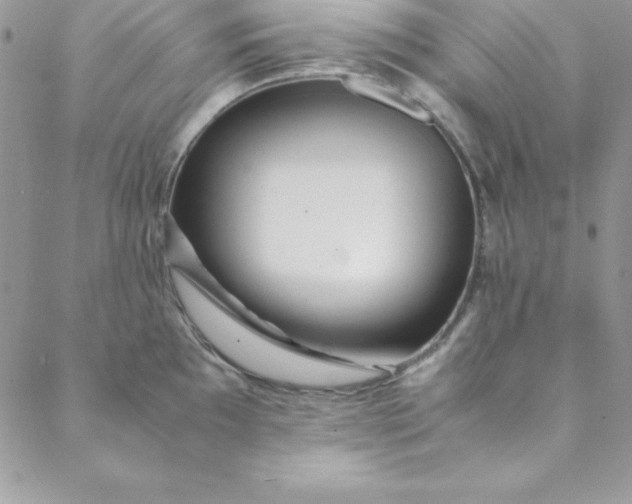 X0000088661097200706081656