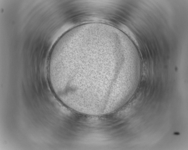 X0000088661098200706081656