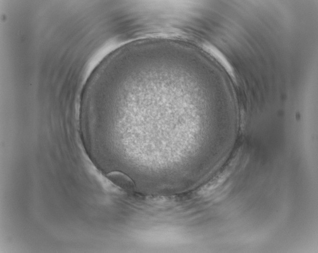 X0000088661099200706081656