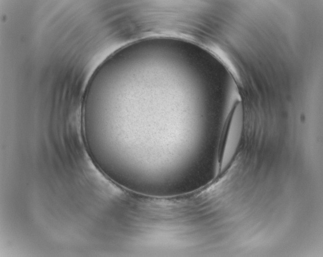 X0000088661100200706081656