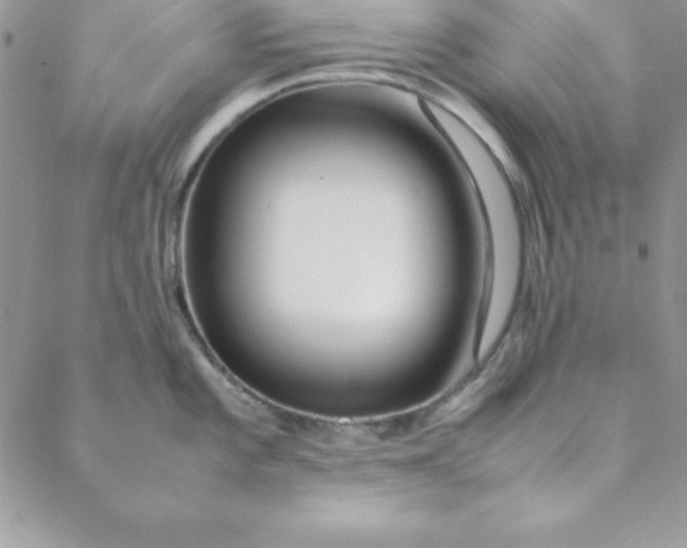 X0000088661101200706081656