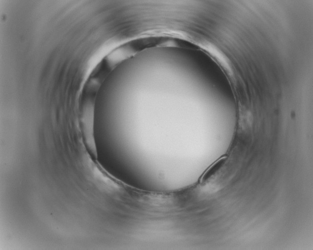 X0000088661102200706081656