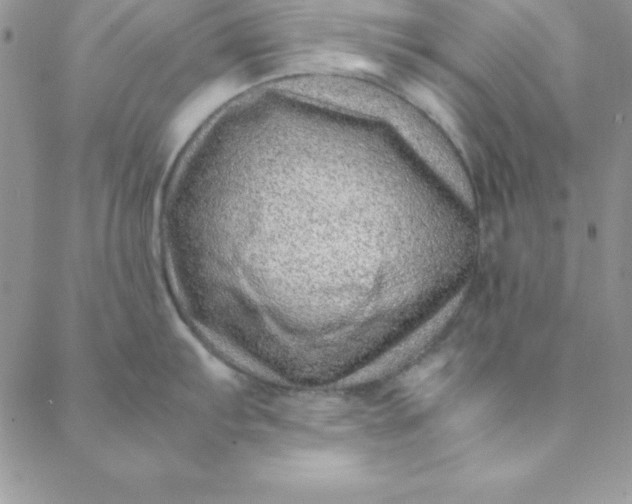 X0000088661103200706081656