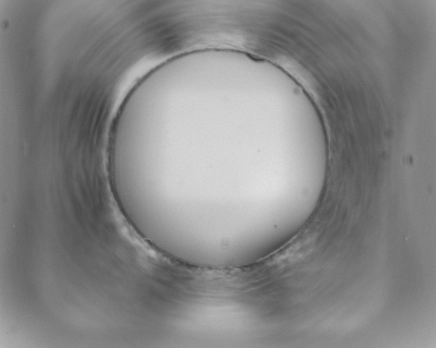 X0000088661104200706081656