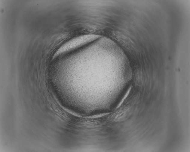 X0000088661105200706081655