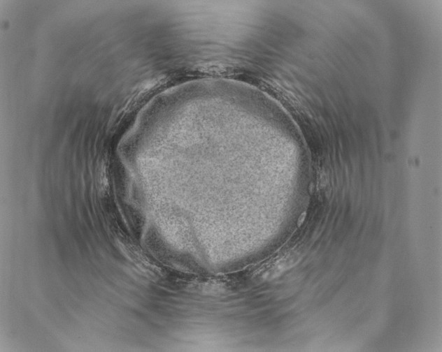 X0000088661106200706081655