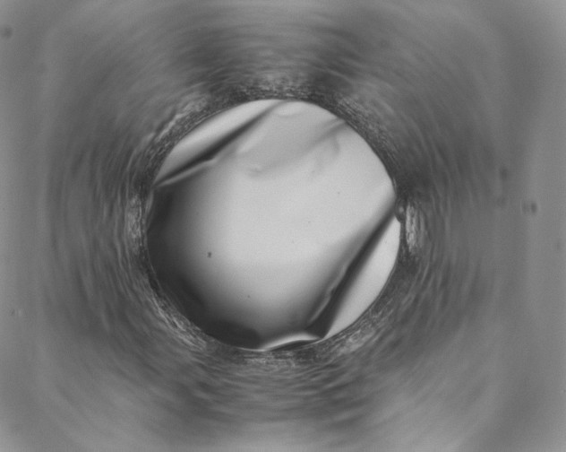 X0000088661107200706081655