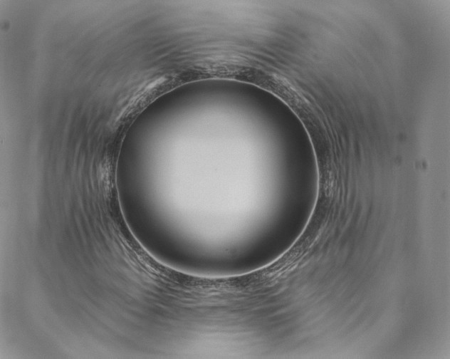 X0000088661108200706081655