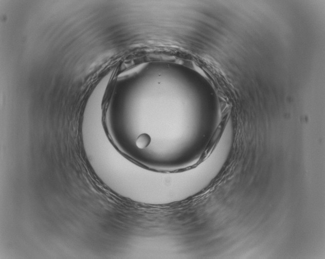 X0000088661110200706081655