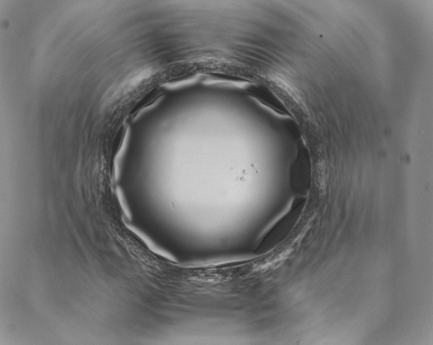 X0000088661111200706081655