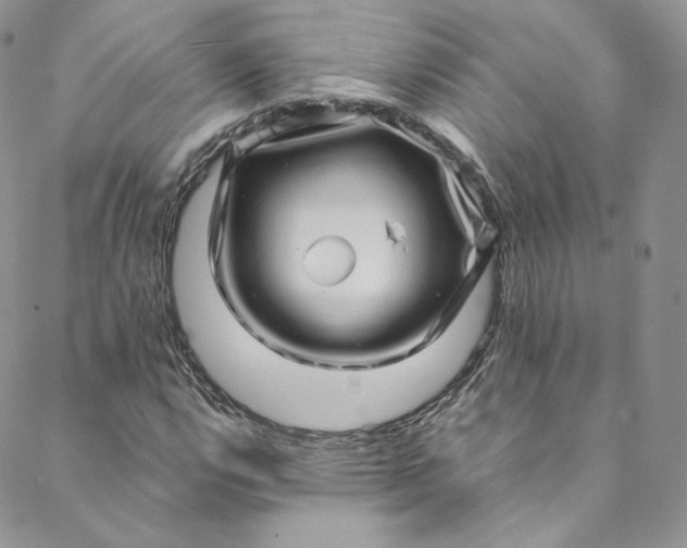 X0000088661112200706081656