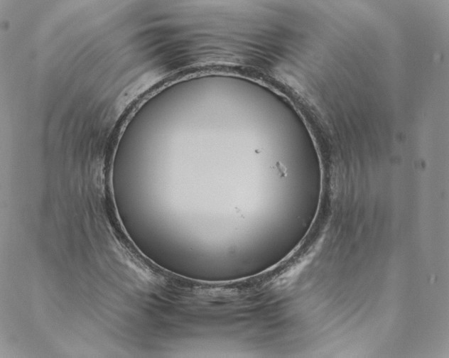 X0000088661113200706081656