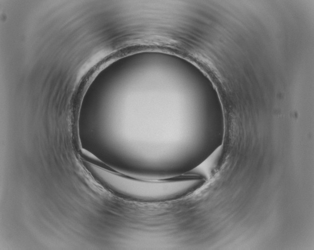 X0000088661114200706081656