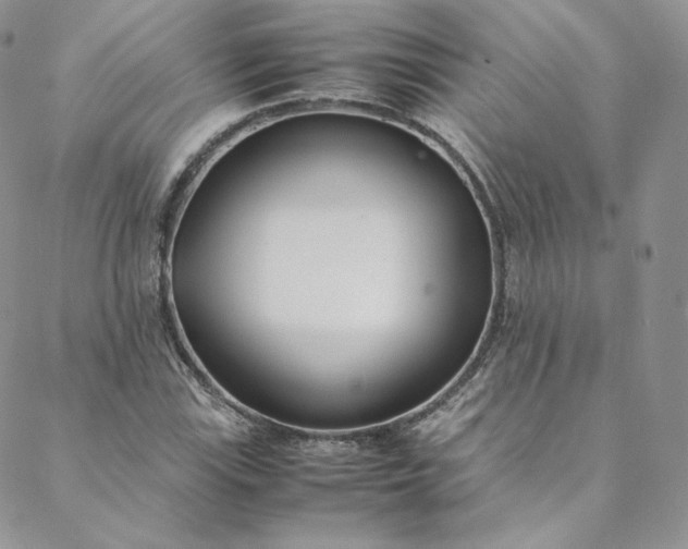 X0000088661115200706081656