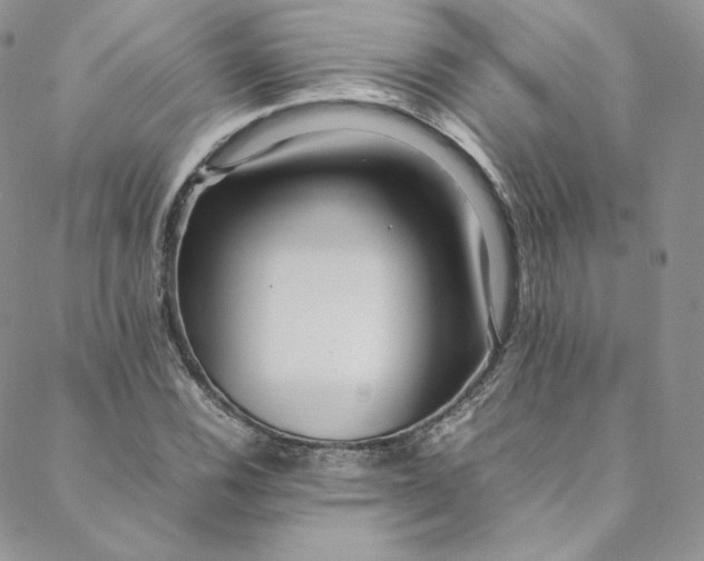 X0000088661116200706081656