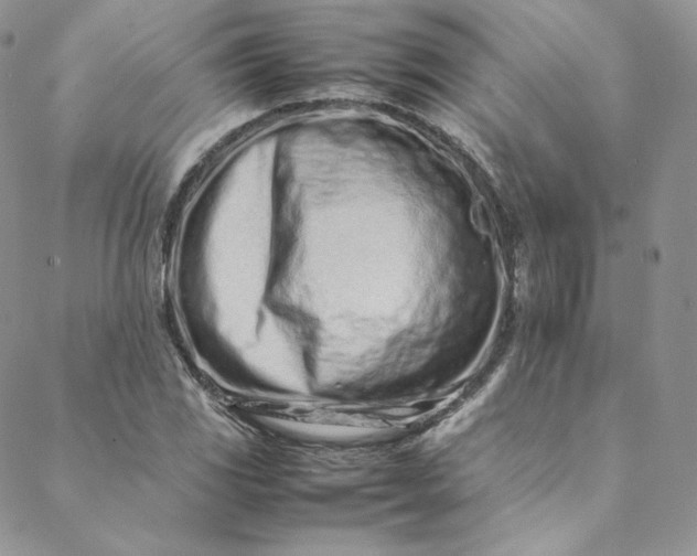 X0000088661117200706081656