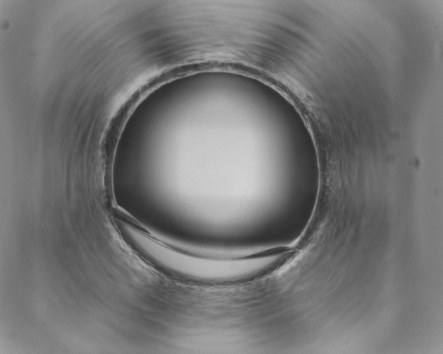 X0000088661118200706081656