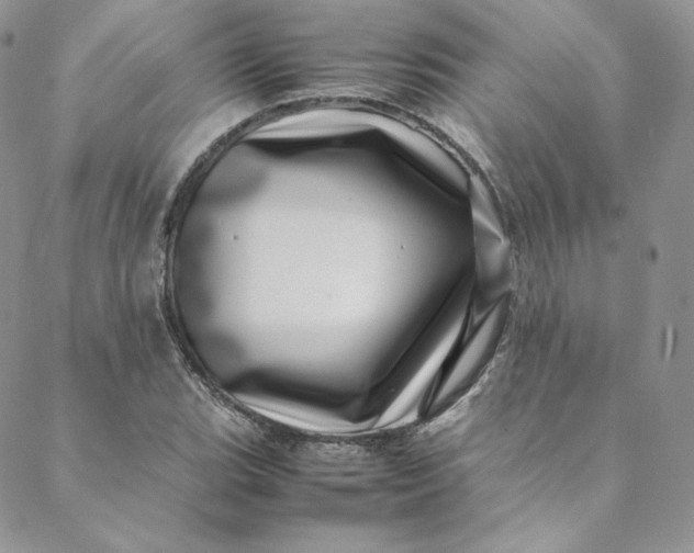 X0000088661119200706081656