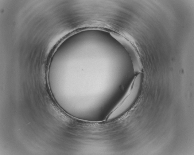 X0000088661120200706081656