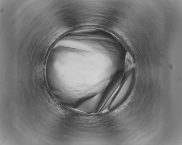 X0000088661121200706081656