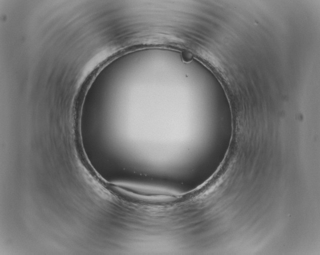 X0000088661122200706081656