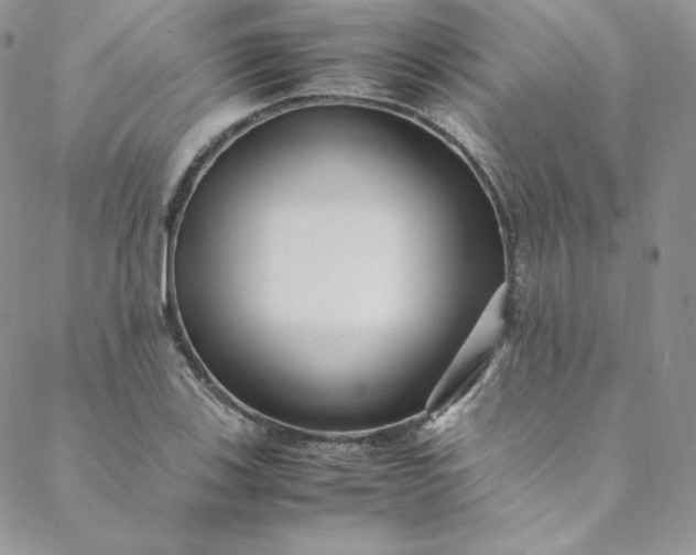 X0000088661123200706081656