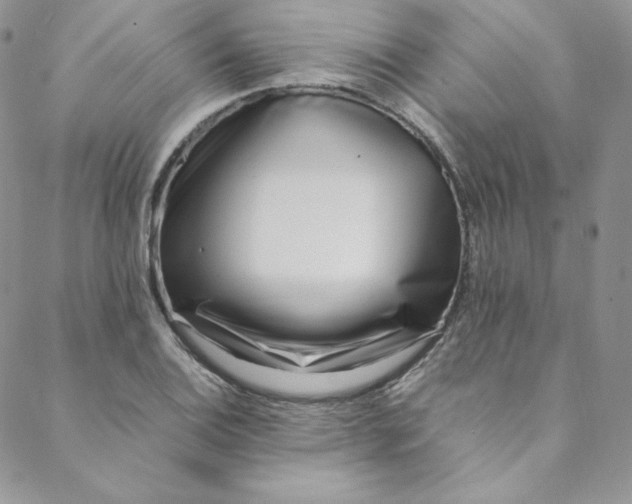 X0000088661124200706081656