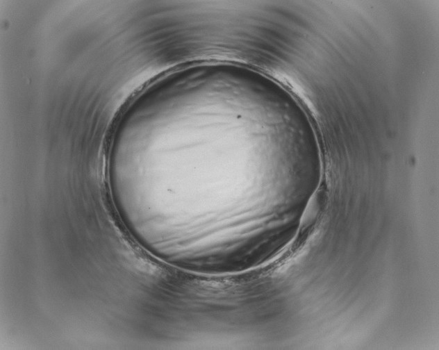 X0000088661125200706081656