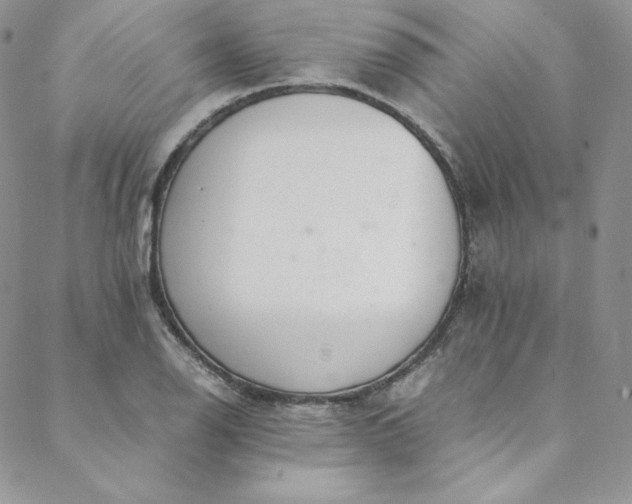 X0000088661126200706081656